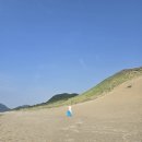 돗토리 사구 모래썰매&amp;기린버스 실전후기』—익사이팅 끝판왕!