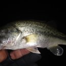 광려천주유소 이미지