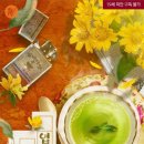 엽차엽차 | [도서 리뷰] 엽차에 동동 - 금싸리 작가