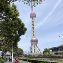 대진방앗간 | 대문자 P의 예측불가 3박 4일 상해여행 3 (홀리랜드 수건케이크, 디즈니랜드 꿀팁, 헌치우이치엔 실패후기)