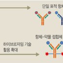 하이브로