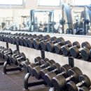 비다펠리즈 이미지