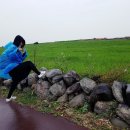 금서방네이층집 | 춘심이네본점/금서방네이층집/가파도/미향해장국