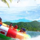 캠프통포레스트 이미지