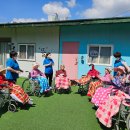 봄날-산책 이미지