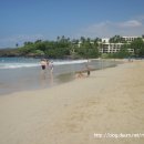 아일랜드 이미지