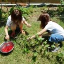 앵두펜션 이미지