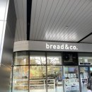 브레댄코 상왕십리점: 상왕십리역 센트라스 소금빵 맛집 / 내돈내산 소금빵 앙버터 피자빵