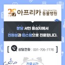 분당-273 이미지