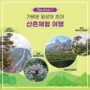 여행숲 이미지