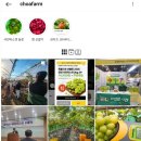 초아농원 이미지