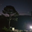 노란담장 네이버블로그