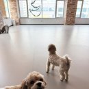 해멍달멍 이미지