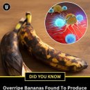 싱싱반점 이미지