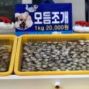 현철횟집 | (태안) 모항항 가성비 횟집 추천 - 현철수산