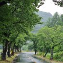 주양쉼터 이미지