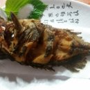 설바위스쿠버횟집 - 포항시 북구 해안로 1488 | 설바위스쿠버횟집