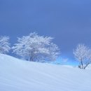 만항등산로입구 Daum카페