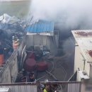 달빛하우스 이미지