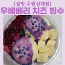 치즈당낙성대역점 | 우베 베리 치즈 설빙 수원성대점 빙수 할인 방법 신메뉴 신상