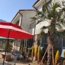 카페 아숨 by 득량 이미지