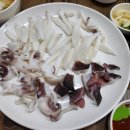 박촌전집