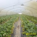 한솔이네농장 이미지