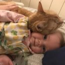 고양이집사 이미지