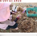 손자농장 이미지