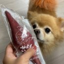 해남 한끼