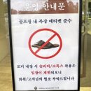 코리아CC ⛳️ 스카이캐슬 촬영지에서 라운딩? 챌린지·크리크 코스 솔직 후기! 조식부터 무료 아이스크림...