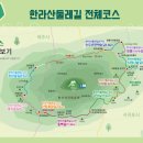 한라산 제2농장 이미지