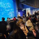 야놀자오락실 | 대구 볼거리 많은 동물원 대구아쿠아리움 성인 5명 방문후기