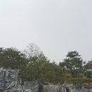 금정역지나 산본 철죽동산 다녀오다 이미지