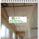 흥왕초등학교 이미지