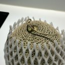 웰컴투송계리 이미지