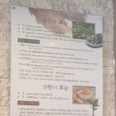 용봉동 20-8 이미지