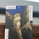 헤밍 | [지금은독서중] 노인과 바다(헤밍 웨이)