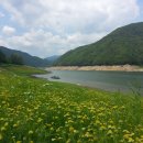 몰운대농장 이미지