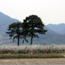 지리산향기 이미지