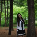 당 사 모 이미지