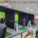 신호스크린골프