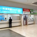 카멜리아 이미지