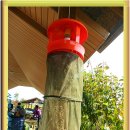 다감농장 이미지