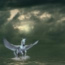 페가수스 이미지