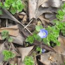 방주농원 이미지