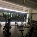 지티복싱 이미지