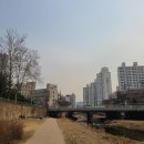 광역투어(넷재주, 토) | 3월 셋째주 일상 : 백신 3차, 소란 콘서트, 코로나 시국 결혼식