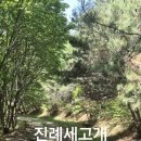 세고개로 이미지