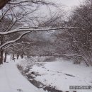 내장산국립공원[內藏山國立公園] 국립공원 제8호 설경 이미지